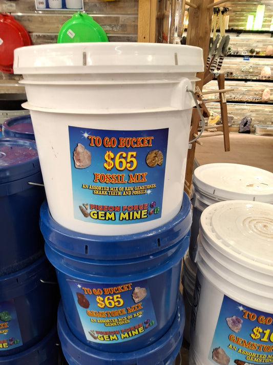 BUCKET- To Go Bucket 3