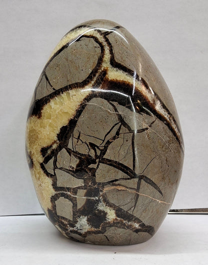 Septarian