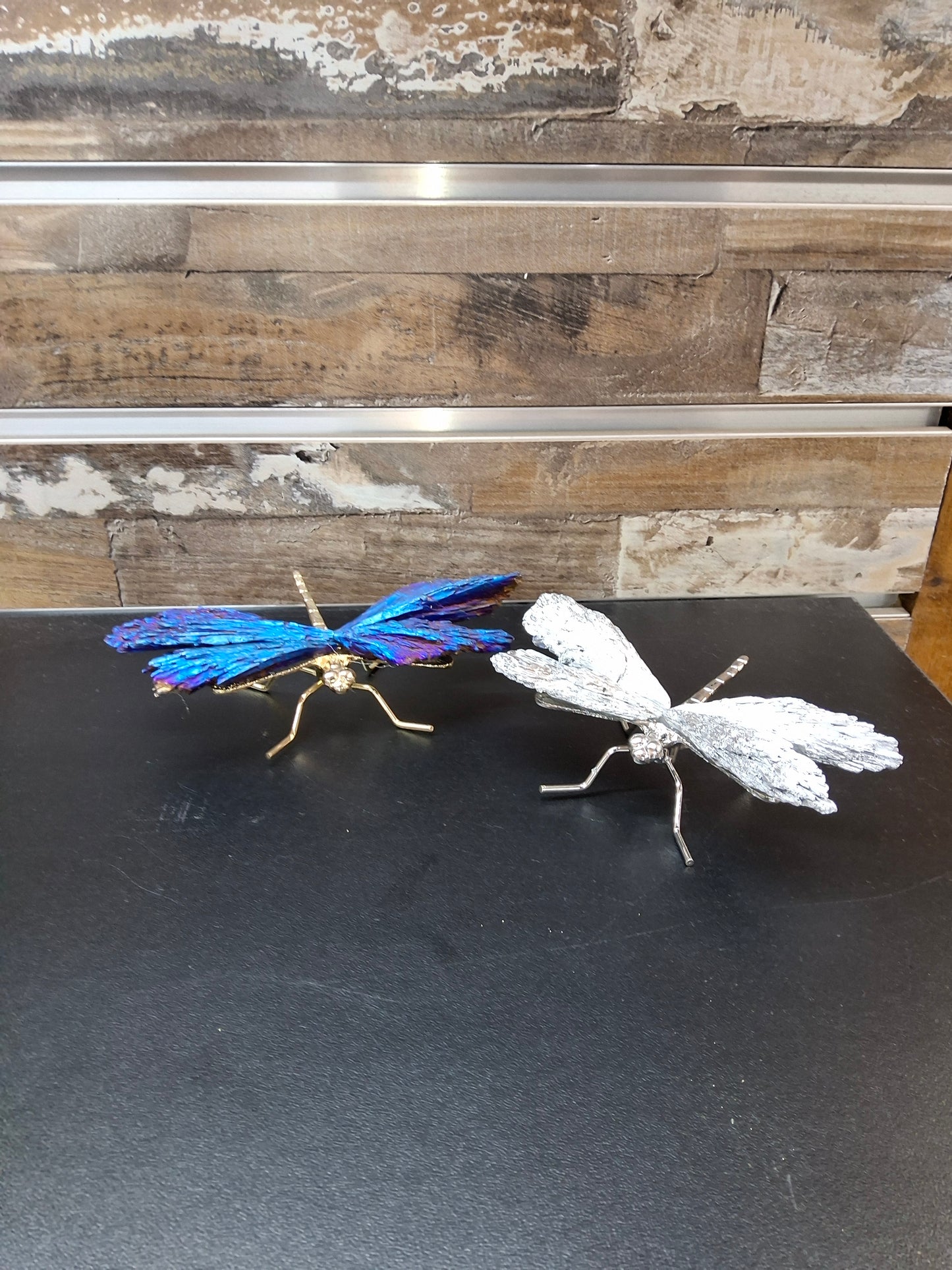 Titanium Dragonfly