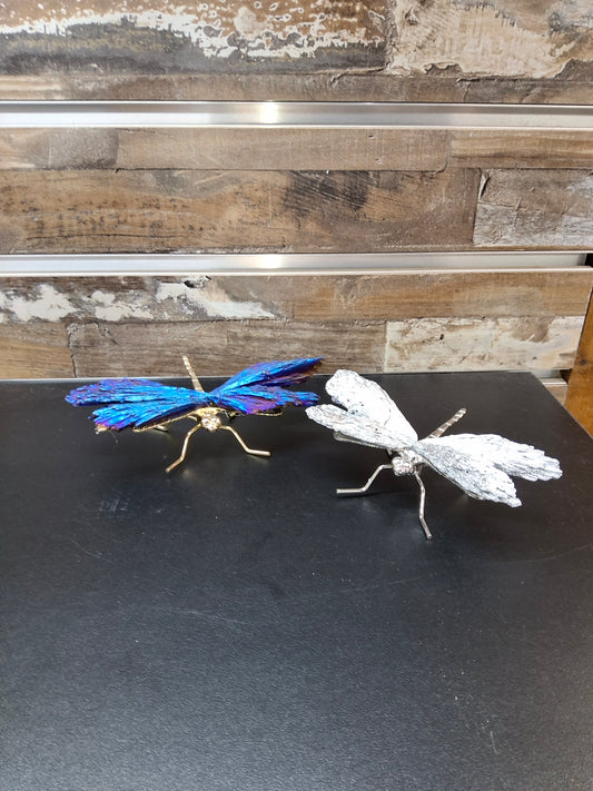 Titanium Dragonfly