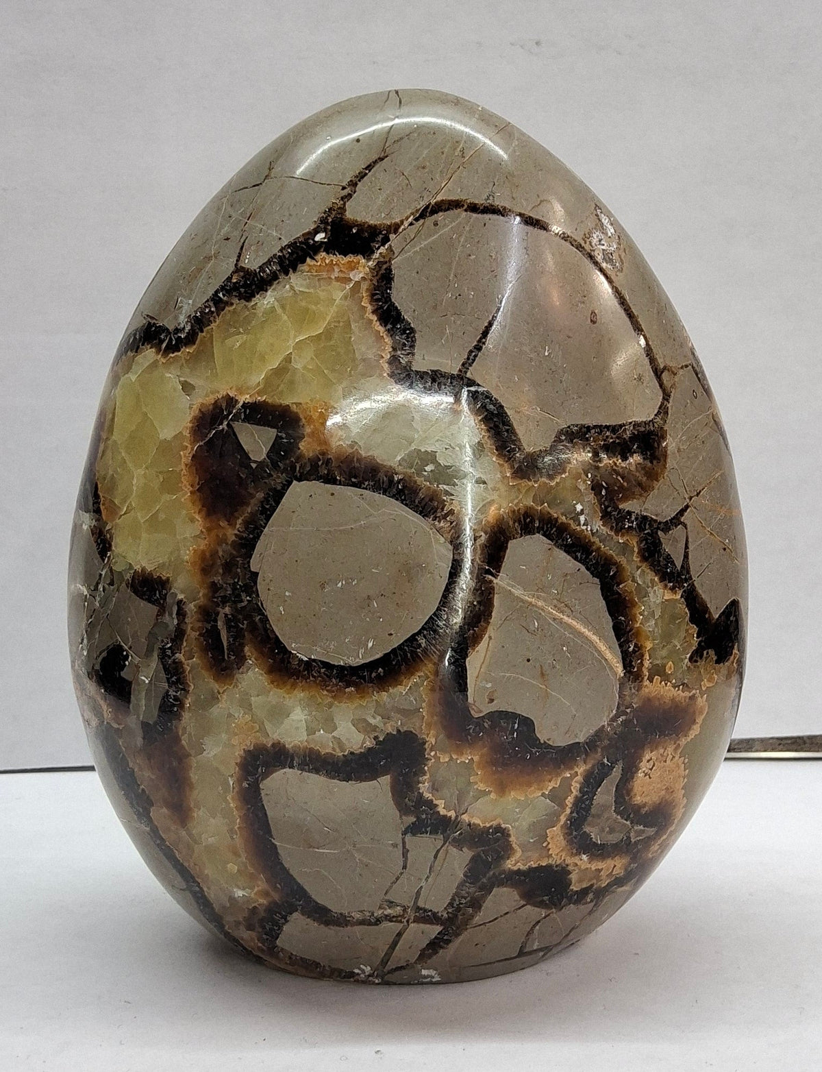 Septarian