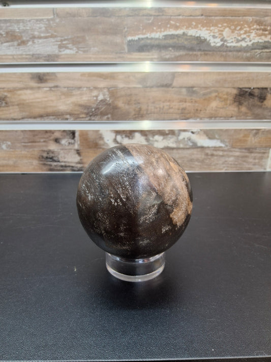 PETRIFIED WOOD SPHERE
