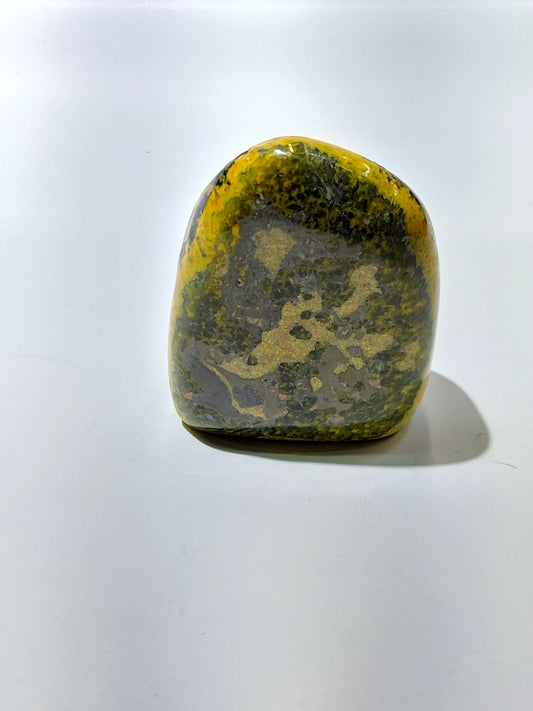 Bumblebee Jasper