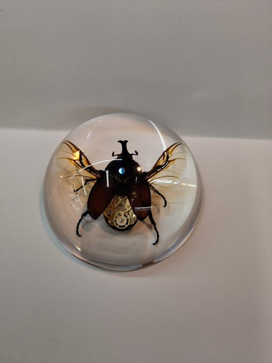 Steampunk Beetle