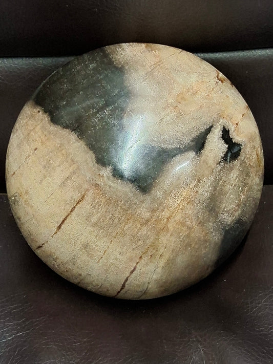 Petrified Wood Sphere