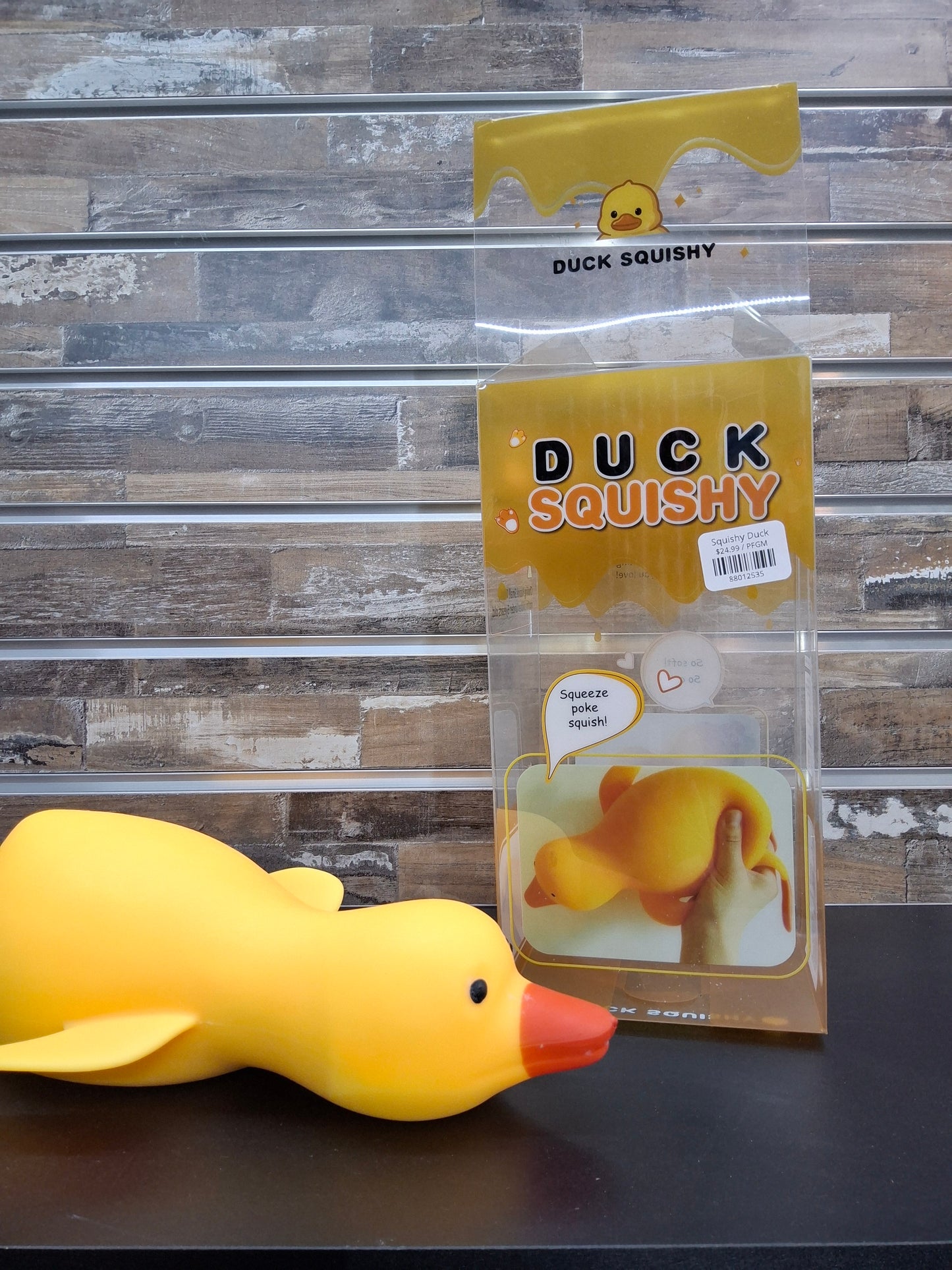 Squishy Duck
