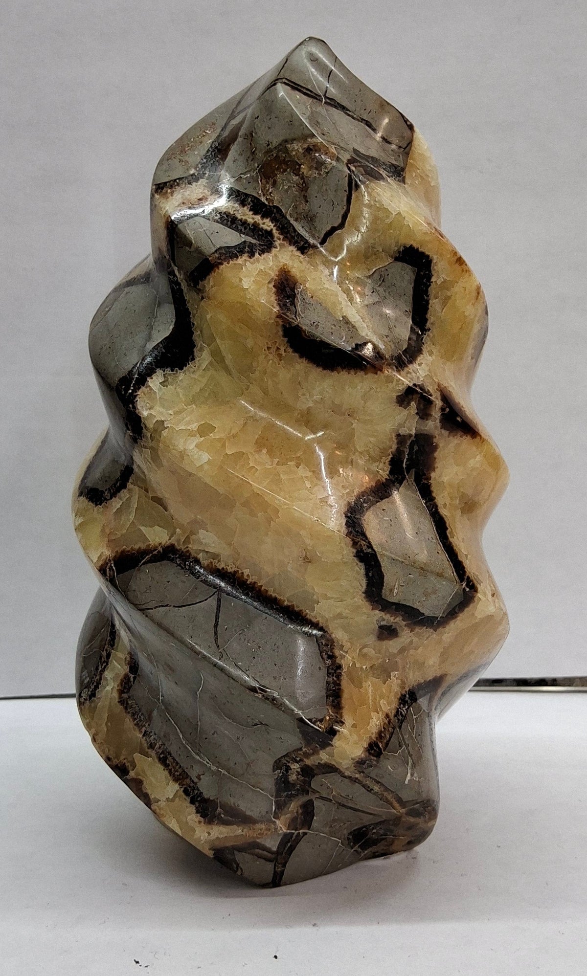 Septarian