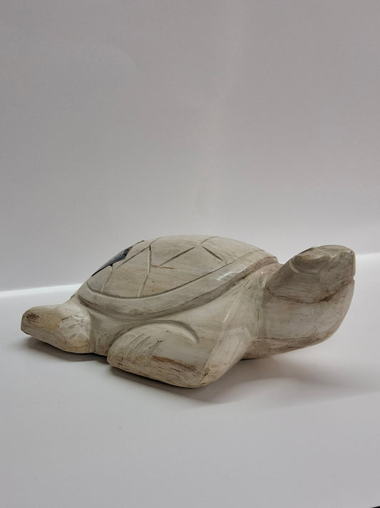 PETRIFIED WOOD TURTLE