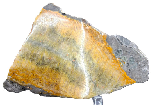 Bumblebee Jasper Slab