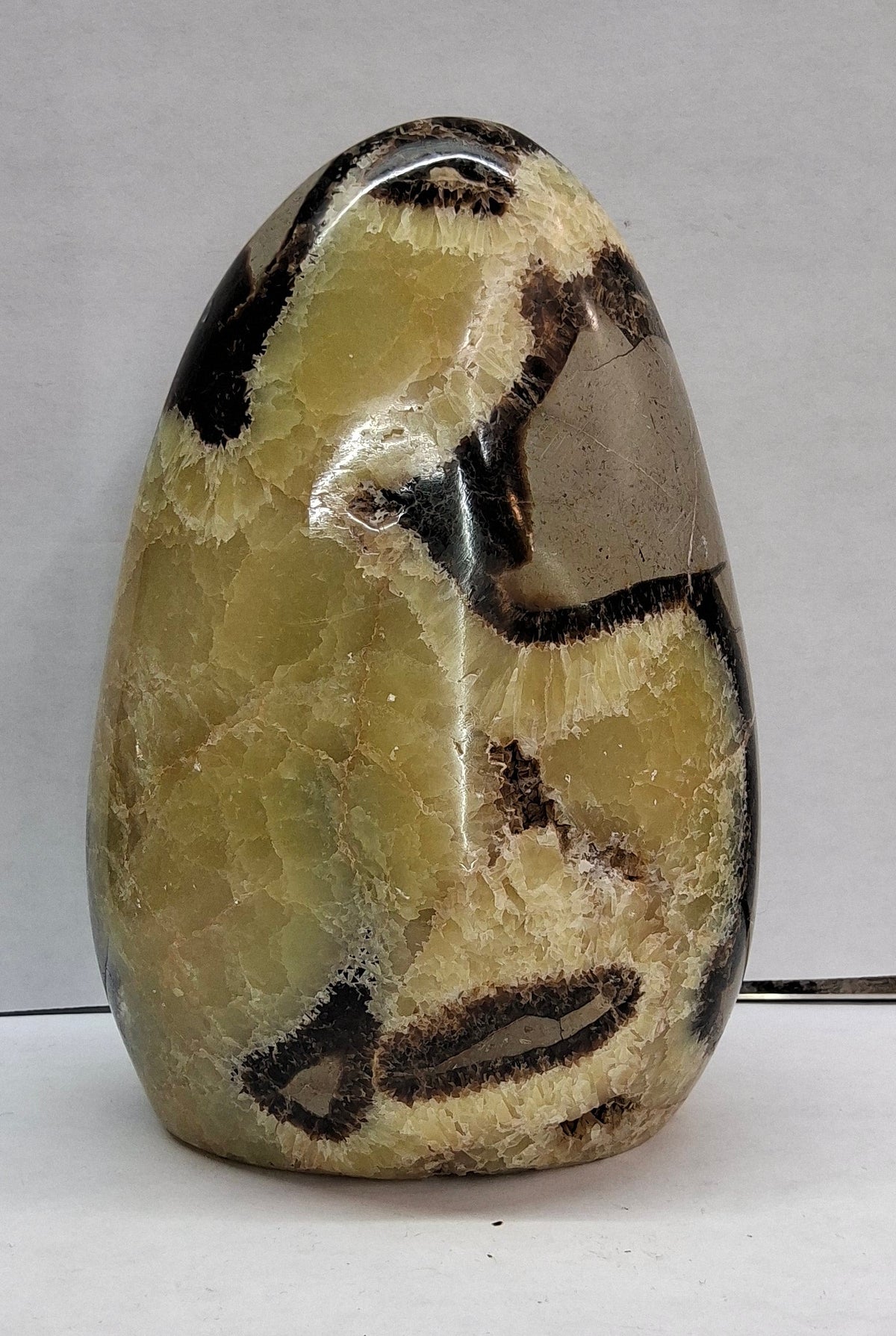 Septarian
